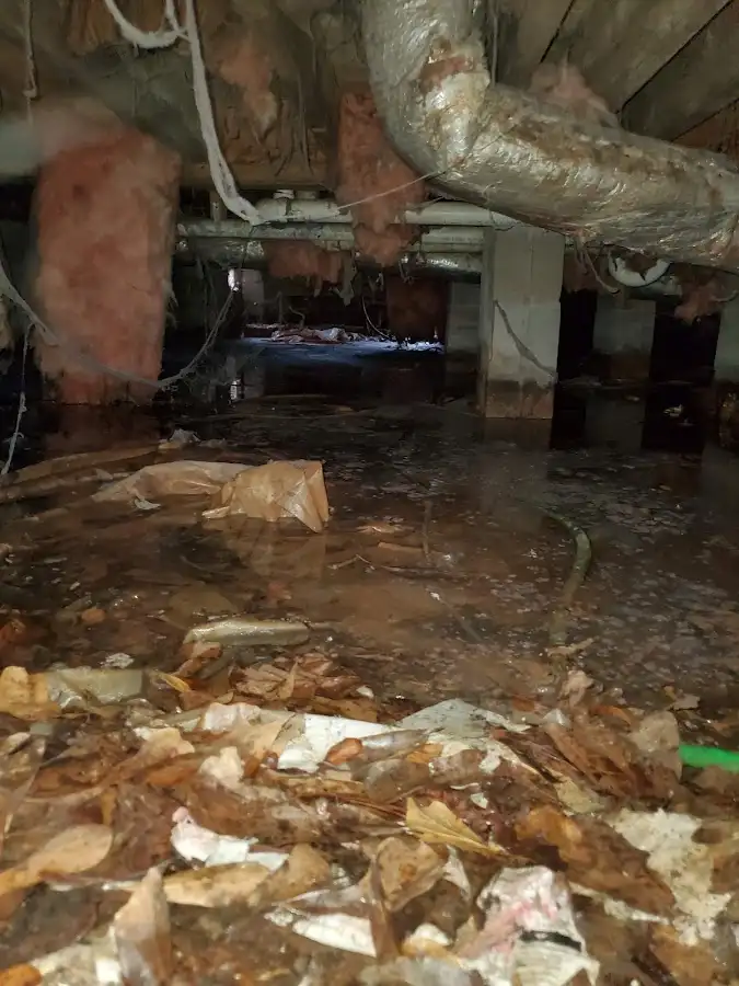 Crawl space flood assessment for Leak Detection & Repair in Minnetonka